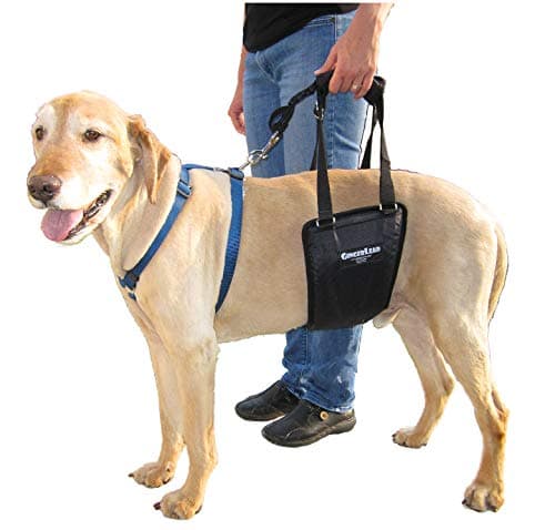 GingerLead Rear Support Sling Harness